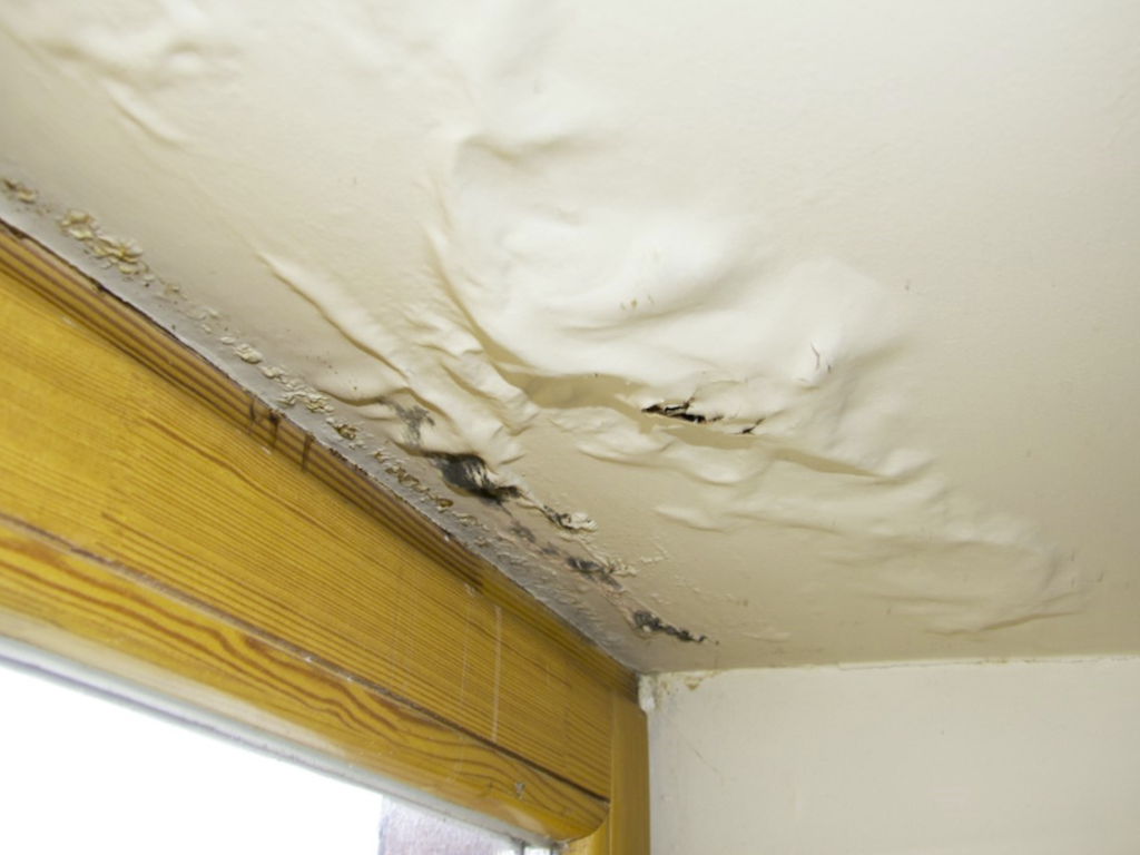 Plafond abîmé présentant des cloques et des décollements au-dessus d’une fenêtre